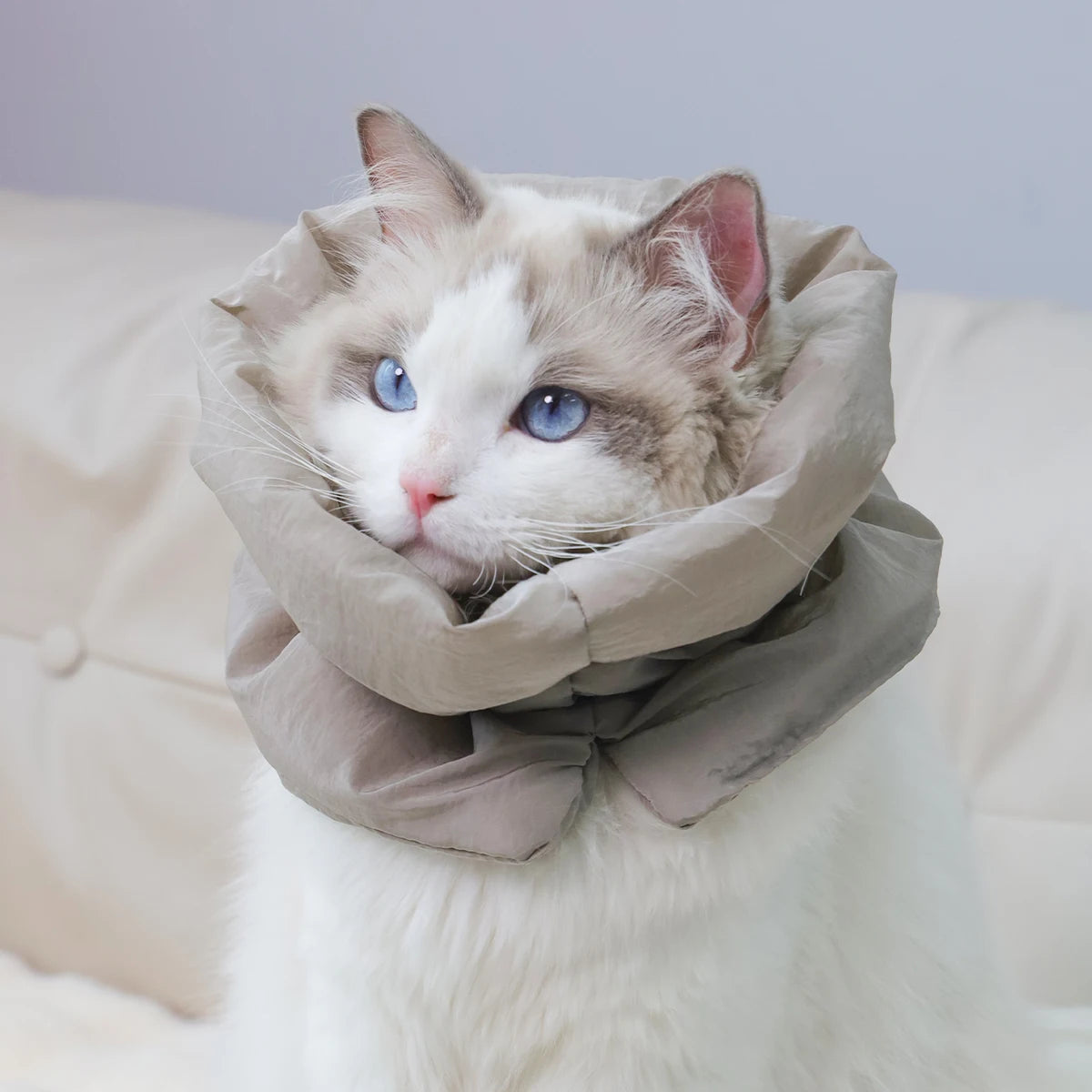 A colorful and fashionable pet warm collar and waterproof scarf for cats to prevent licking and biting after sterilization surge