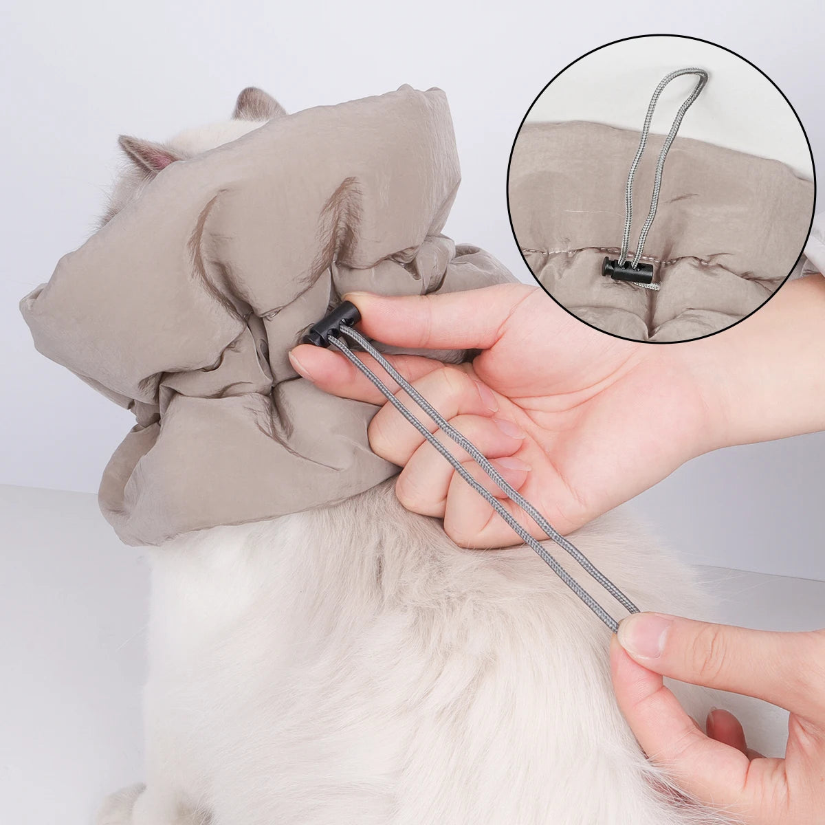A colorful and fashionable pet warm collar and waterproof scarf for cats to prevent licking and biting after sterilization surge