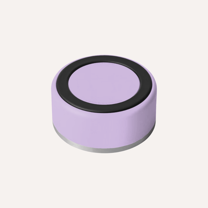 Tilley + Me Stainless Steel Pet Bowl – Non-Slip, Durable & Dishwasher Safe | 32oz and 64oz