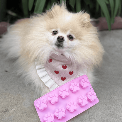 Pet Treat Molds